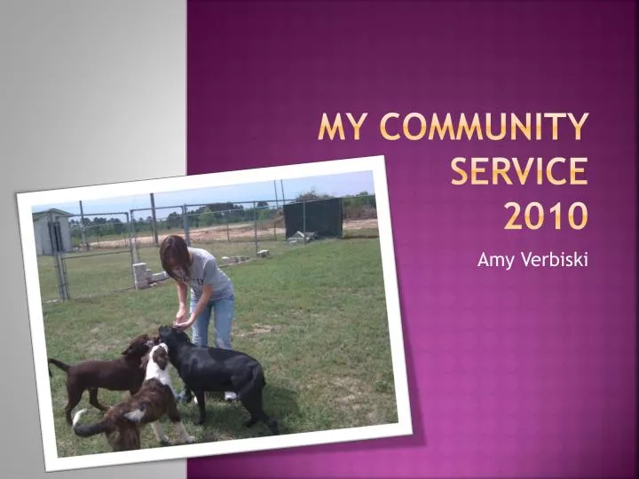 my community service 2010