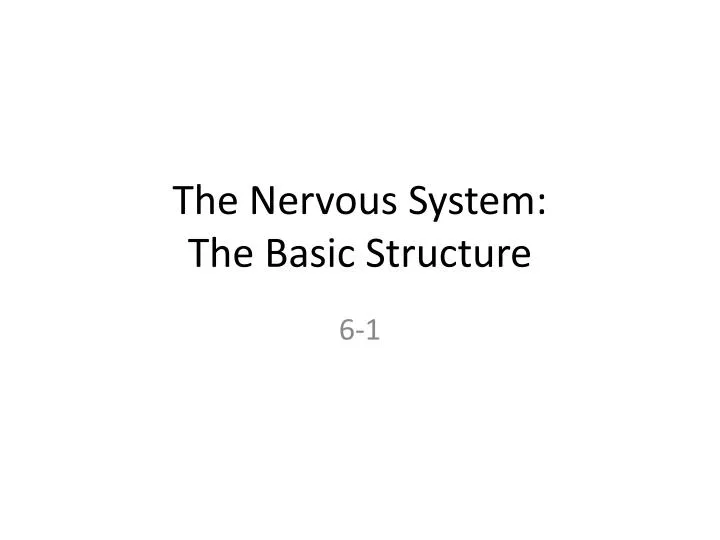 the nervous system the basic structure