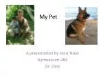 My Pet - slide 1