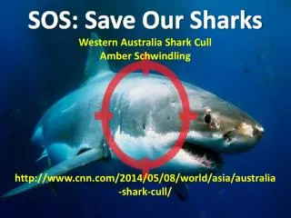 SOS: Save Our Sharks Western Australia Shark Cull Amber Schwindling