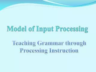 Model of Input Processing