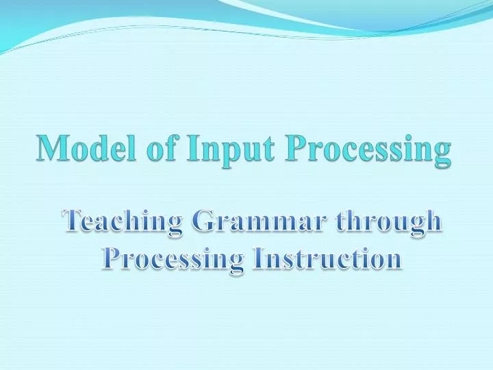 model of input processing