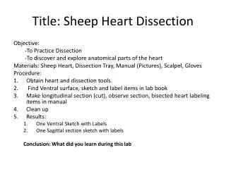 Title: Sheep Heart Dissection