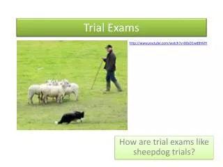 Trial Exams
