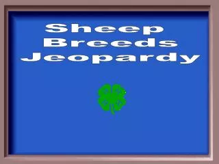 Sheep Breeds Jeopardy