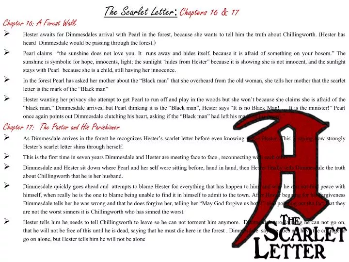 the scarlet letter chapters 16 17