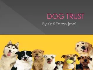 DOG TRUST