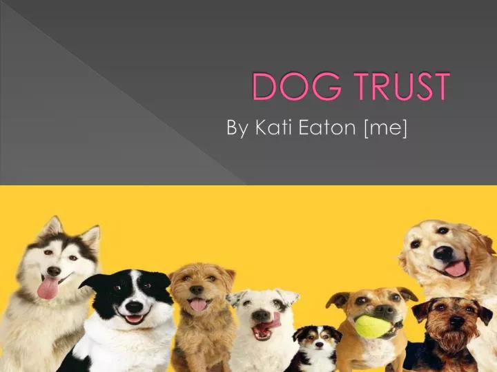 dog trust