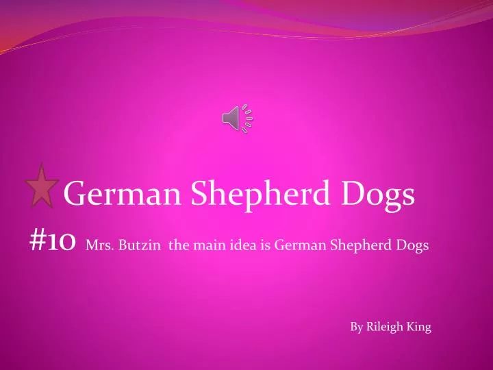 german shepherd dogs 10 mrs butzin the main idea is german shepherd dogs