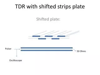 TDR with shifted strips plate