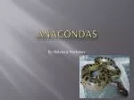 Anacondas - slide 1
