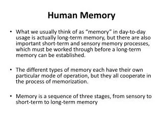 human memory