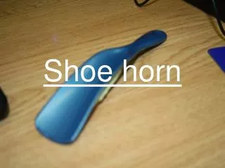 Shoe horn