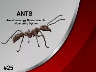 ANTS