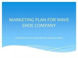 MARKETING PLAN FOR WAVE SHOE COMPANY