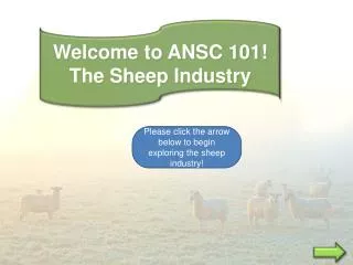 Welcome to ANSC 101! The Sheep Industry