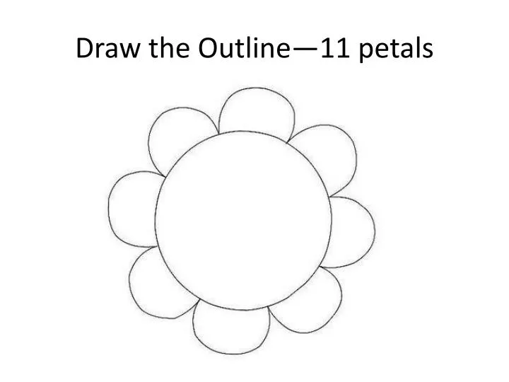 draw the outline 11 petals