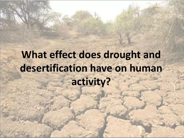 what effect does drought and desertification have on human activity