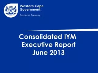 Consolidated IYM Executive Report June 2013