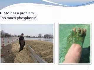 GLSM has a problem… Too much phosphorus!