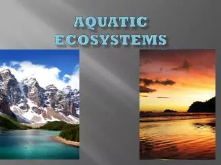 Aquatic Ecosystems