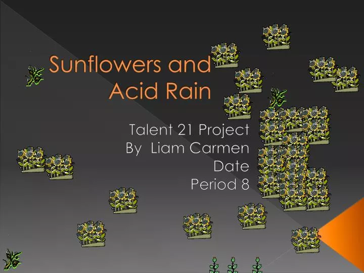 sunflowers and acid rain