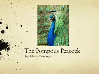 The Pompous Peacock