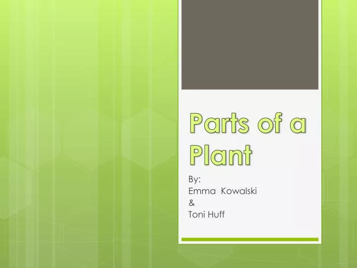 parts of a plant