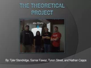 The Theoretical project