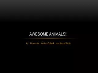 Awesome animals!!!