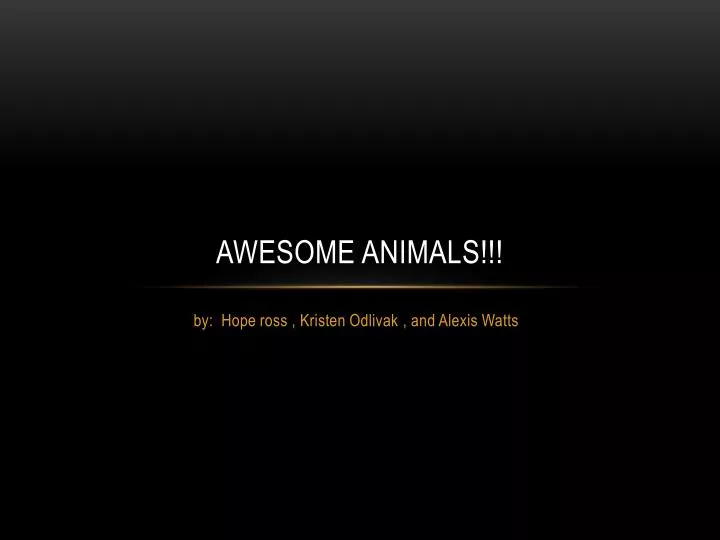 awesome animals