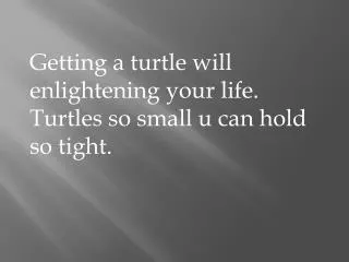 Getting a turtle will enlightening your life. Turtles so small u can hold so tight.