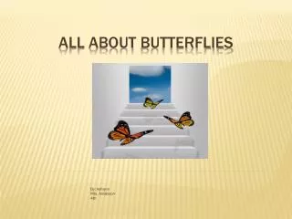 All About Butterflies