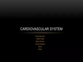 cardiovascular system