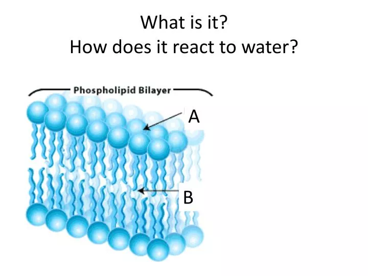 what is it how does it react to water