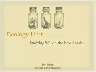 Ecology Unit