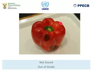 not sound out of grade