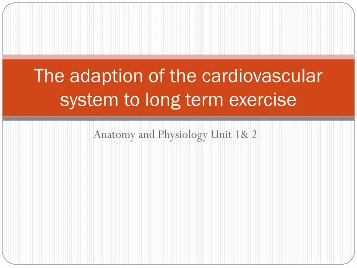 the adaption of the cardiovascular system to long term exercise