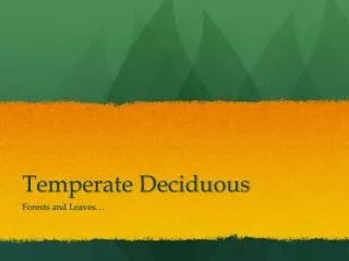 Temperate Deciduous