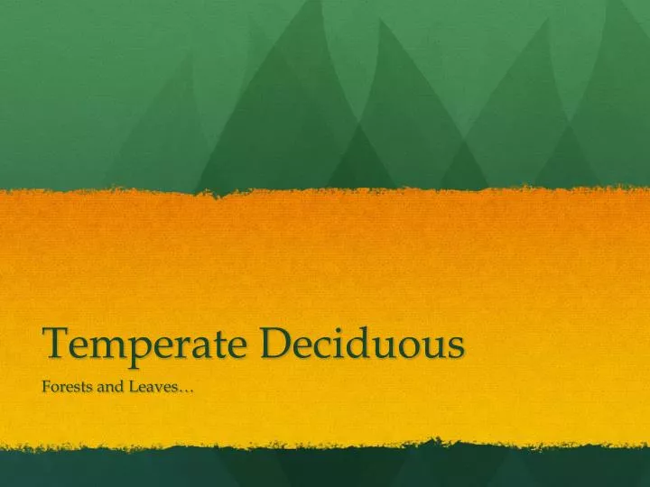 temperate deciduous