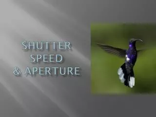 Shutter Speed &amp; Aperture