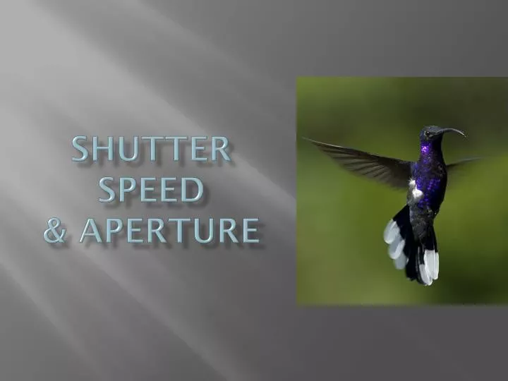 shutter speed aperture