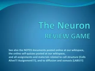 The Neuron REVIEW GAME