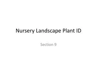 Nursery Landscape Plant ID