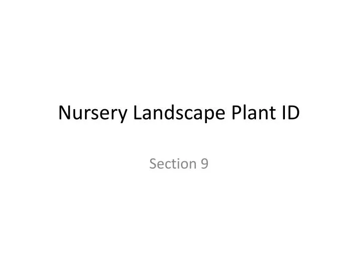 nursery landscape plant id