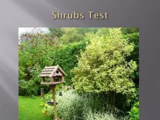 Shrubs Test