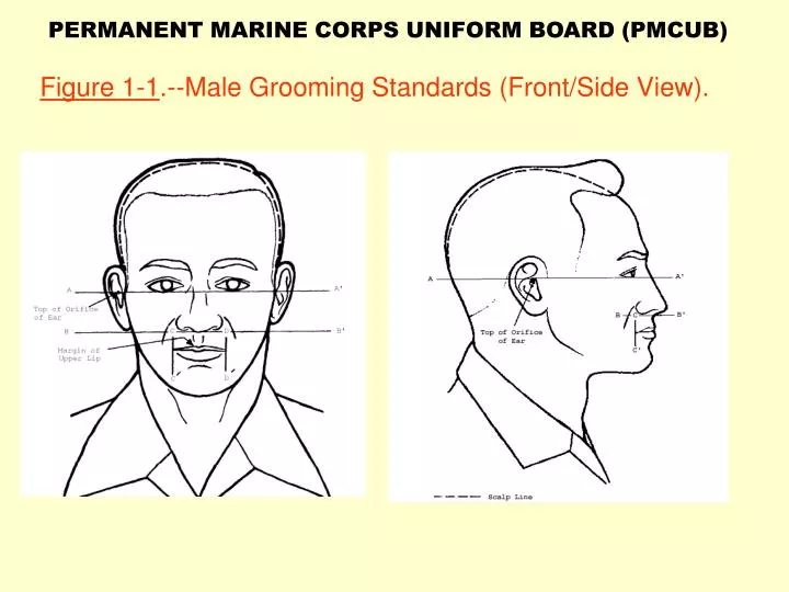 figure 1 1 male grooming standards front side view