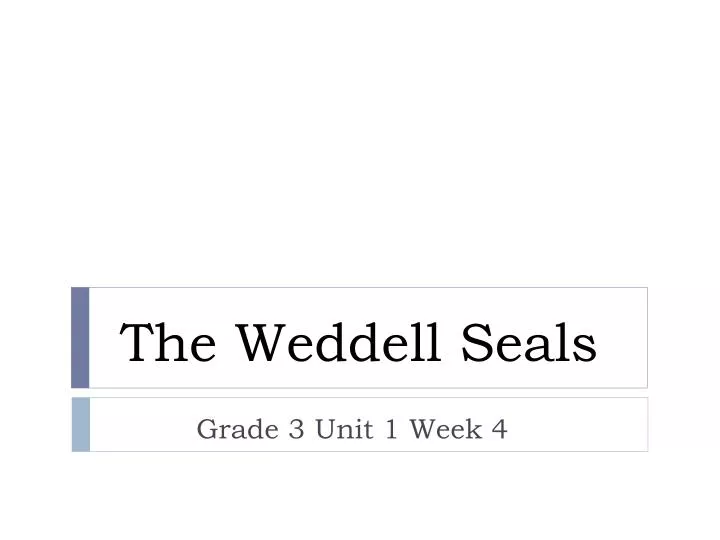 the weddell seals