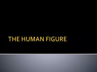 THE HUMAN FIGURE