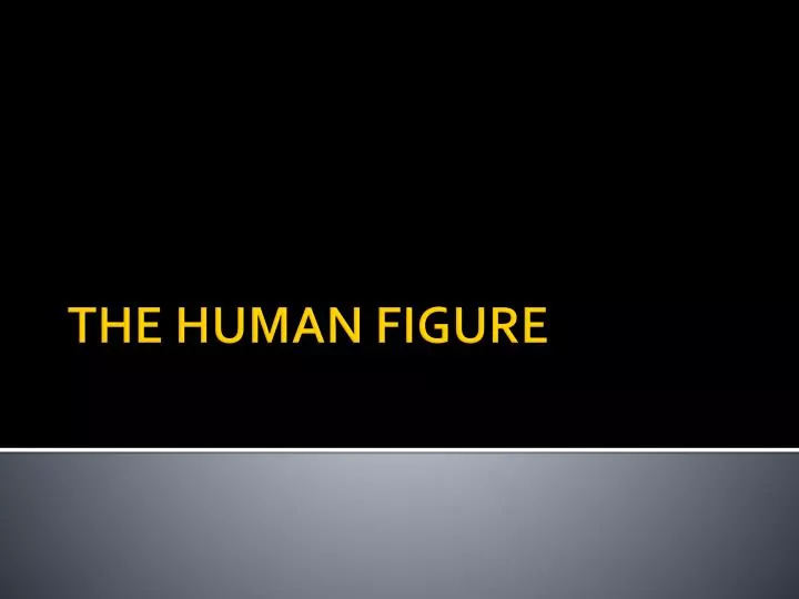 the human figure